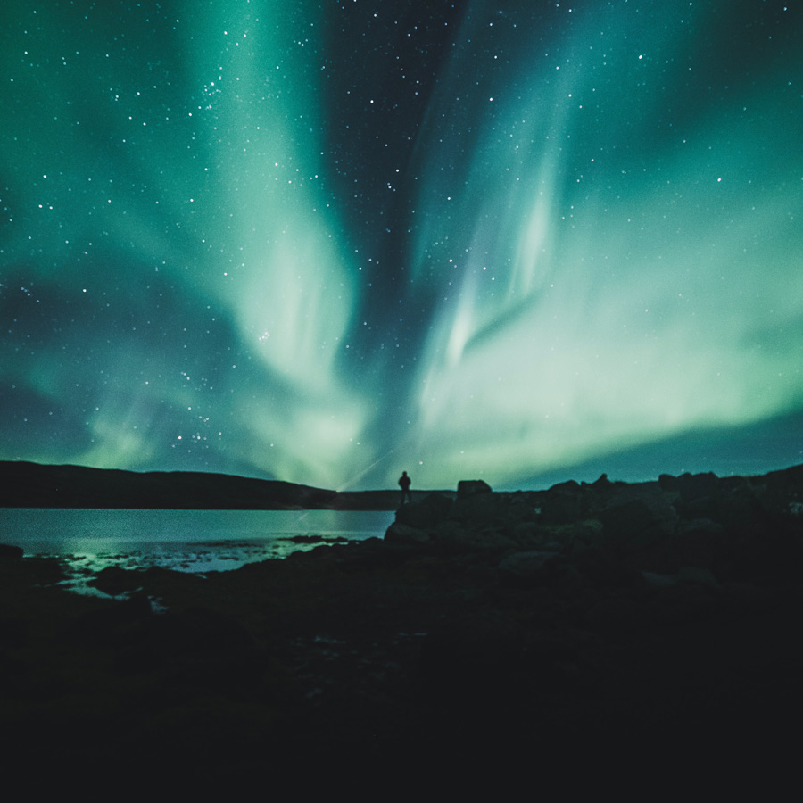 luke-stackpoole-5Qqkjn4PFPA-unsplash